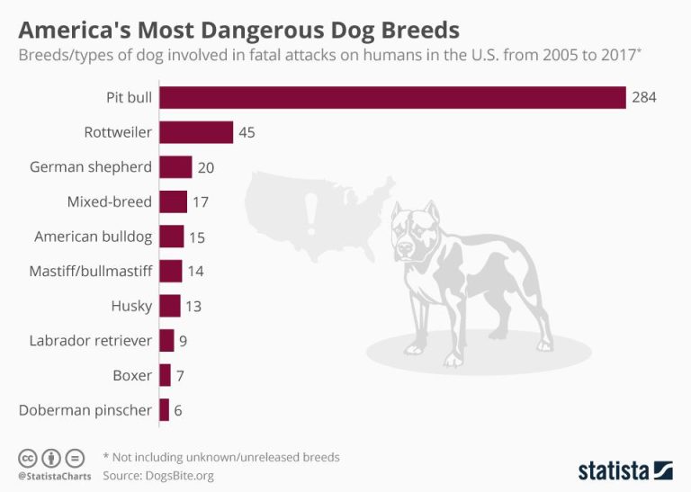 What Breed Of Dog Is Most Likely To Bite?