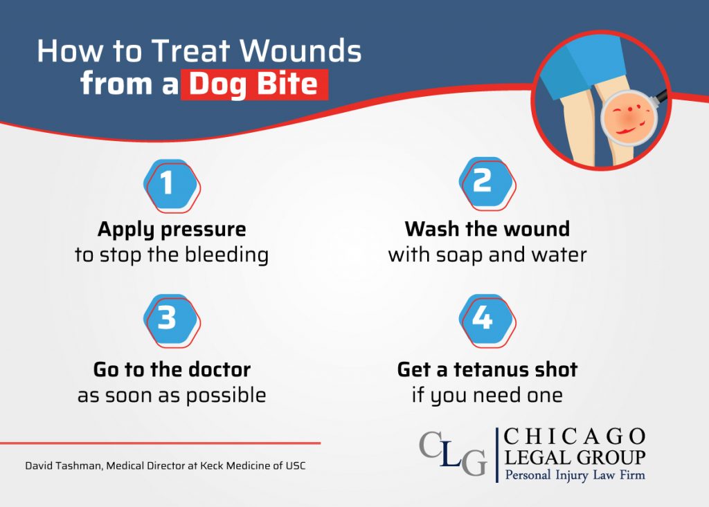 5 How to Treat Wounds from a Dog Bite infographic 1024x733 1