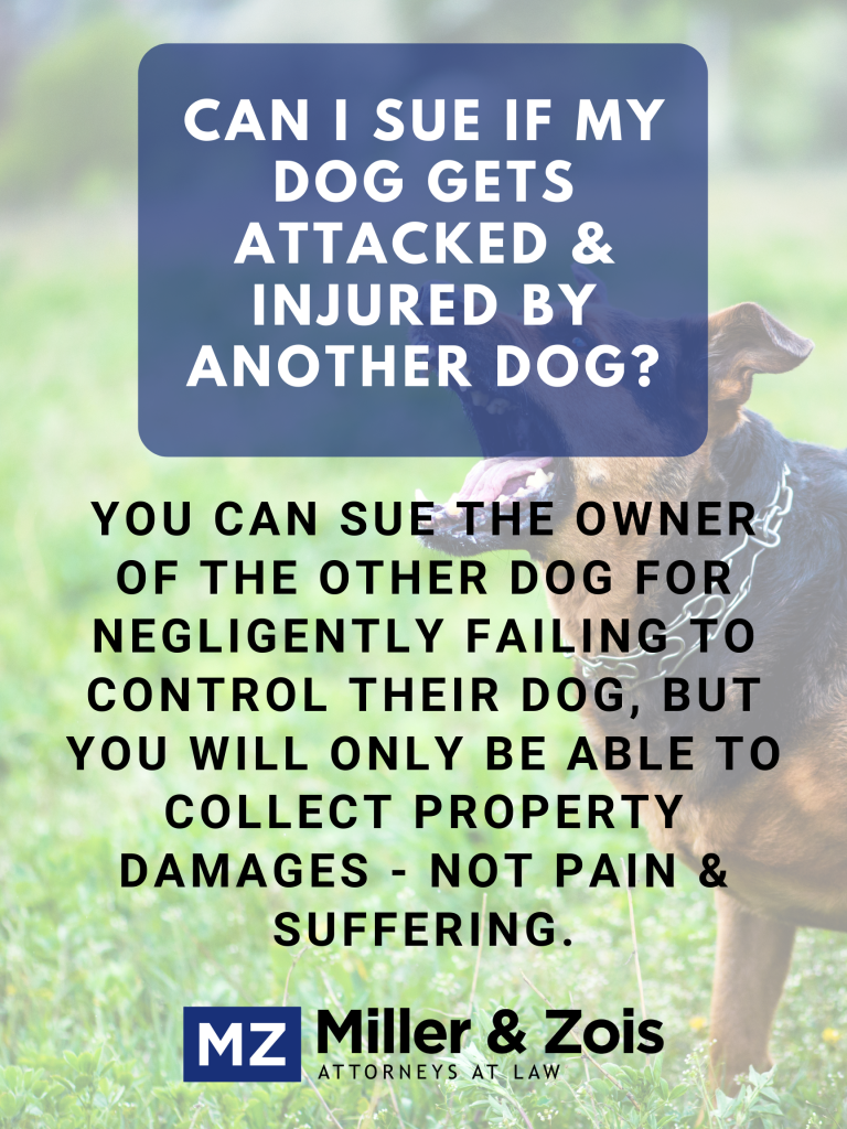 Can You Sue Someone If Their Dog Bites Your Dog?