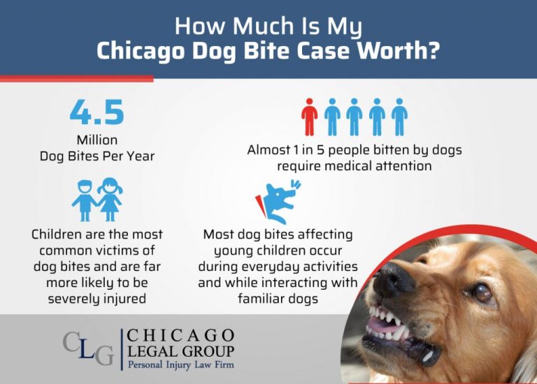 7 Types Of Compensation You May Be Eligible For After A Dog Bite