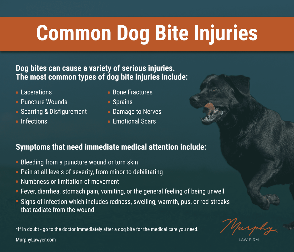 common-types-of-dog-bite-injuries-and-their-legal-implications