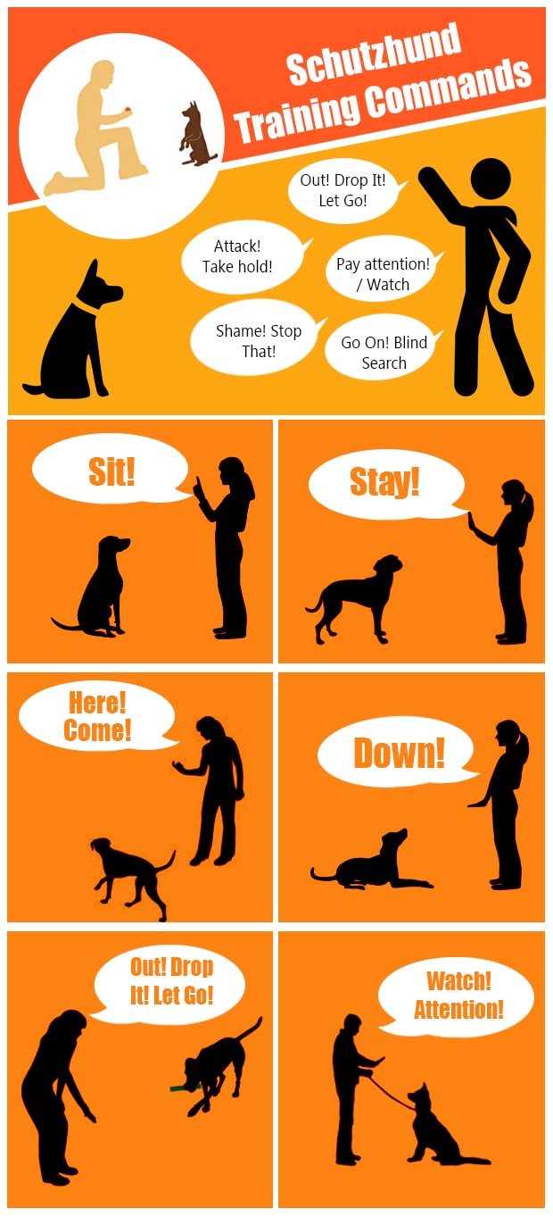 How To Teach Your Dog To Bite On Command?