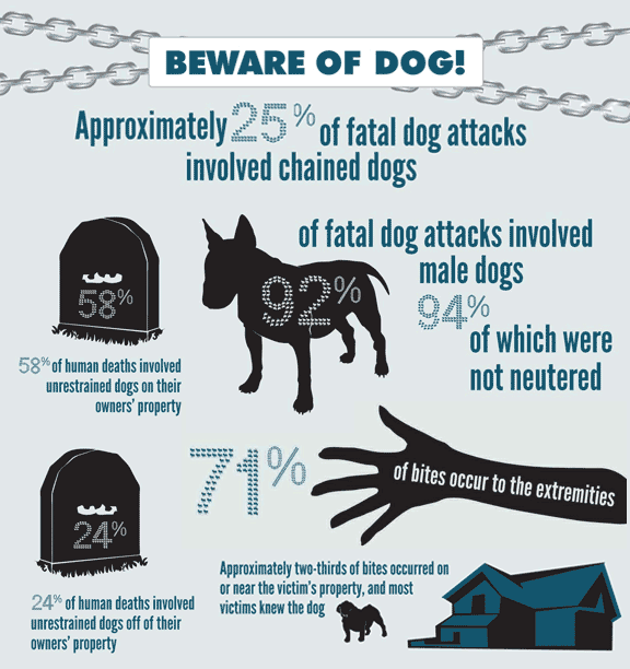 What Happens When A Dog Bite Is Reported Uk?