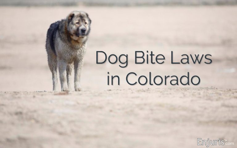 What Happens If Your Dog Bites Someone In Colorado?