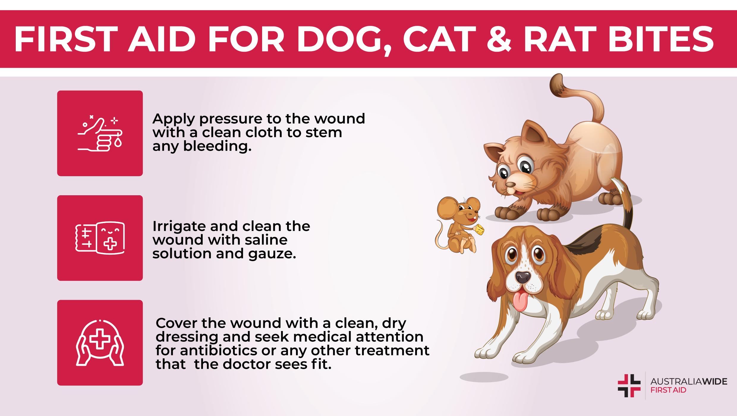 first aid for dog cat rat bites