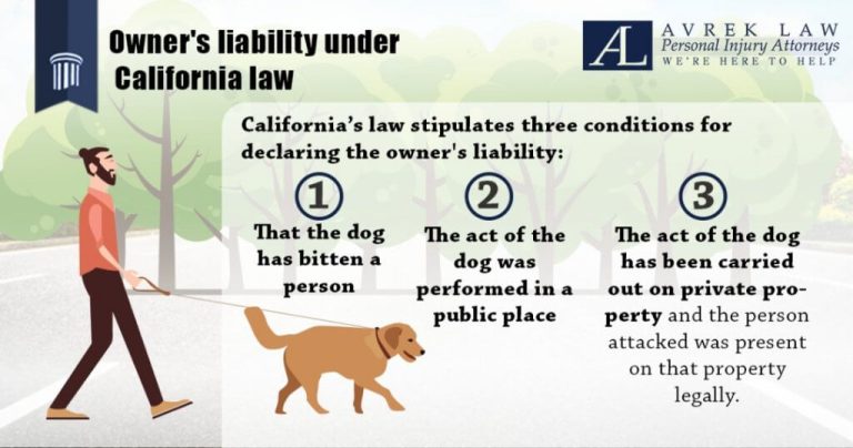 Legal Rights And Responsibilities For Dog Bite Victims