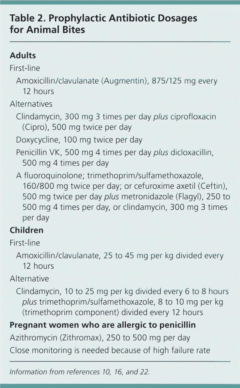 Does Dog Bite Need Antibiotics?