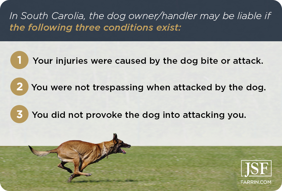 three conditions for dog bite lawsuit