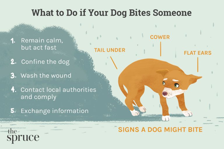 What Do You Do When Your Dog Bites Someone?